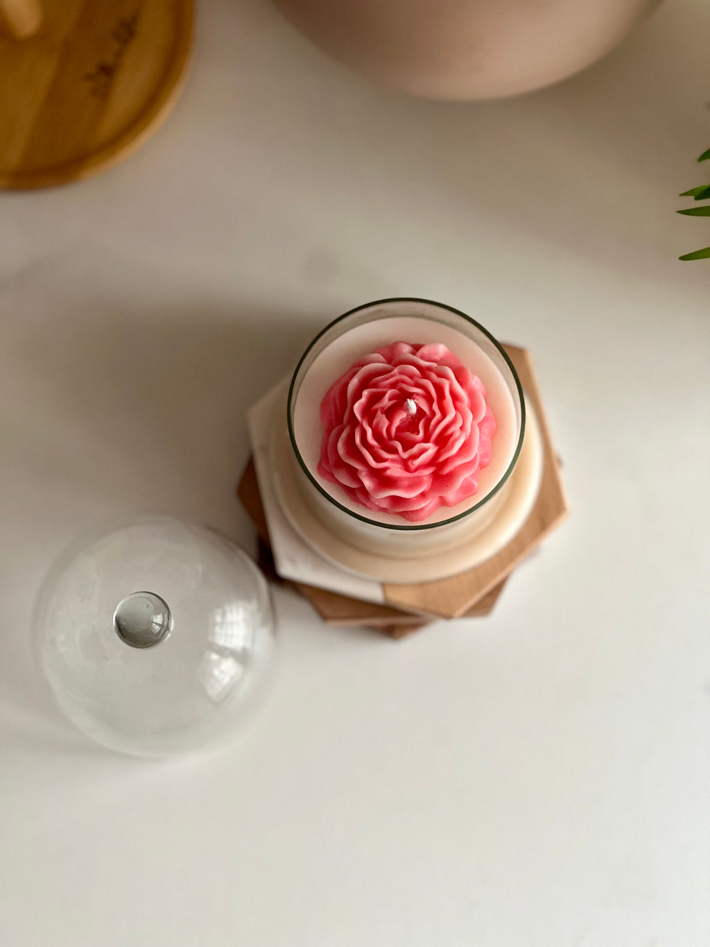 Ivory Blush